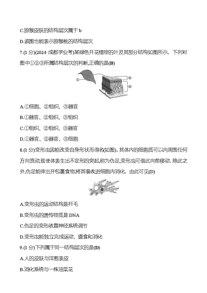 2026年中考生物第一轮复习专题从细胞到生物体练习含答案第3页