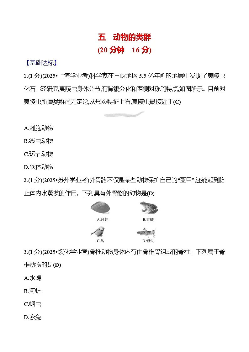 2026年中考生物第一轮复习专题动物的类群练习含答案第1页