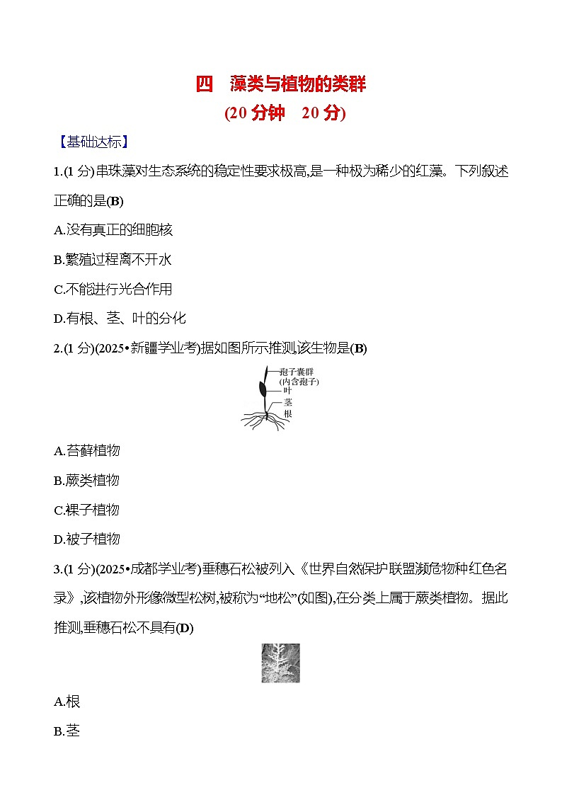 2026年中考生物第一轮复习专题藻类与植物的类群练习含答案第1页