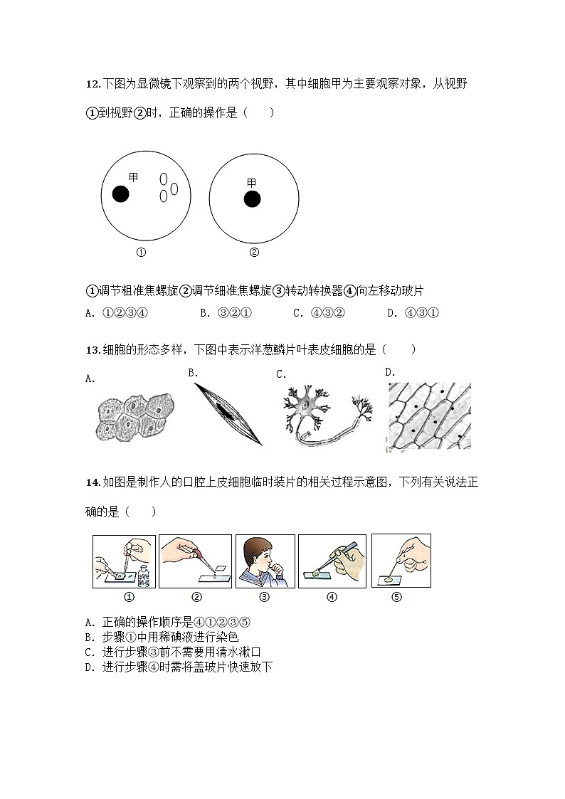 河南省安阳市第四中学2025-2026学年七年级上学期9月月考生物试题第3页