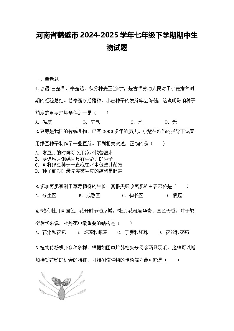 河南省鹤壁市2024-2025学年七年级下学期期中生物试题第1页
