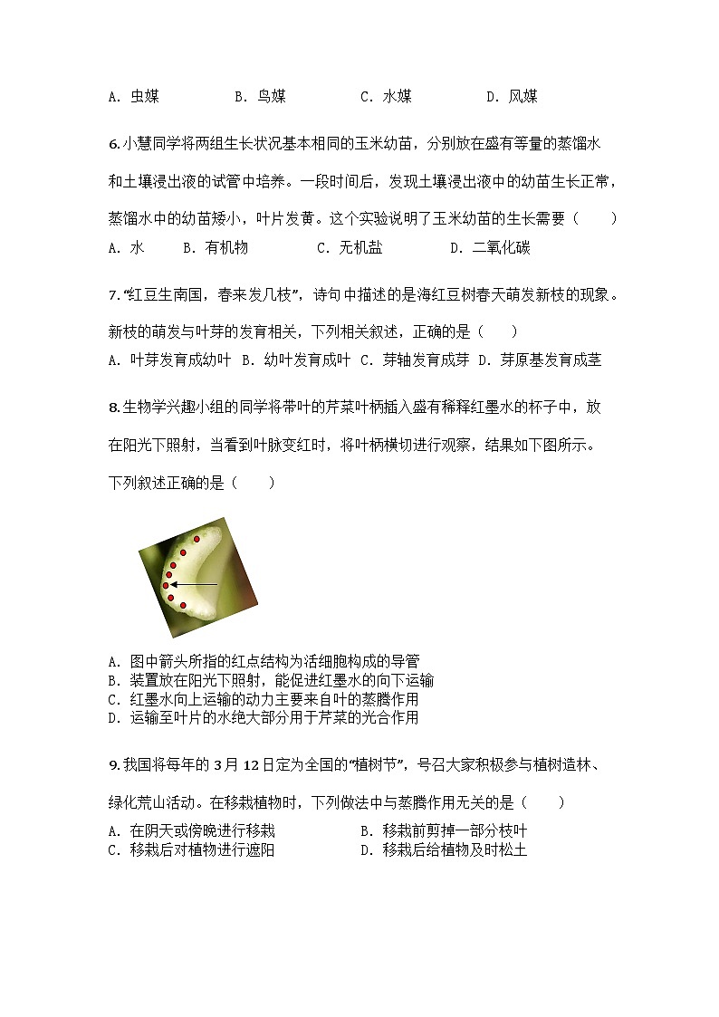 河南省鹤壁市2024-2025学年七年级下学期期中生物试题第2页