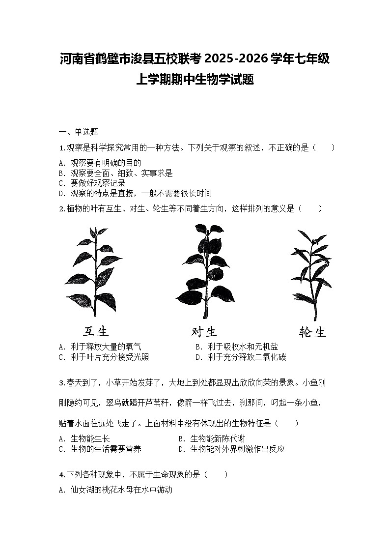 河南省鹤壁市浚县五校联考2025-2026学年七年级上学期期中生物学试题第1页