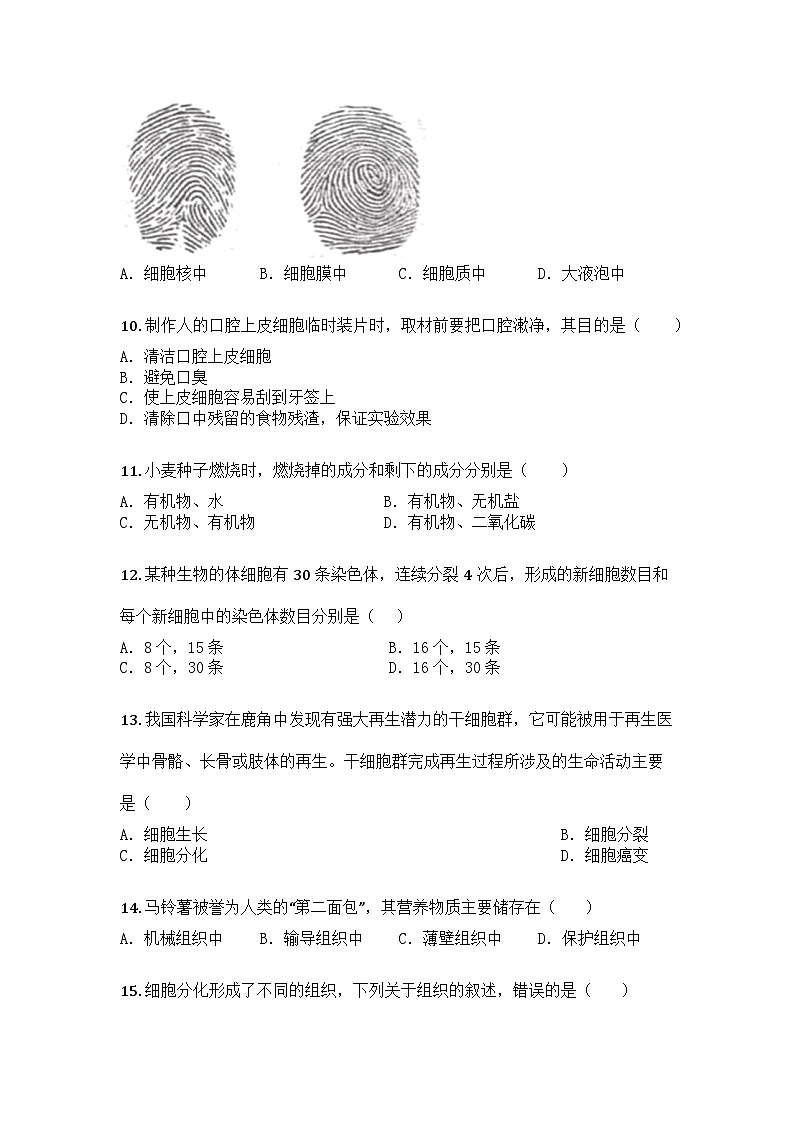 河南省鹤壁市浚县五校联考2025-2026学年七年级上学期期中生物学试题第3页