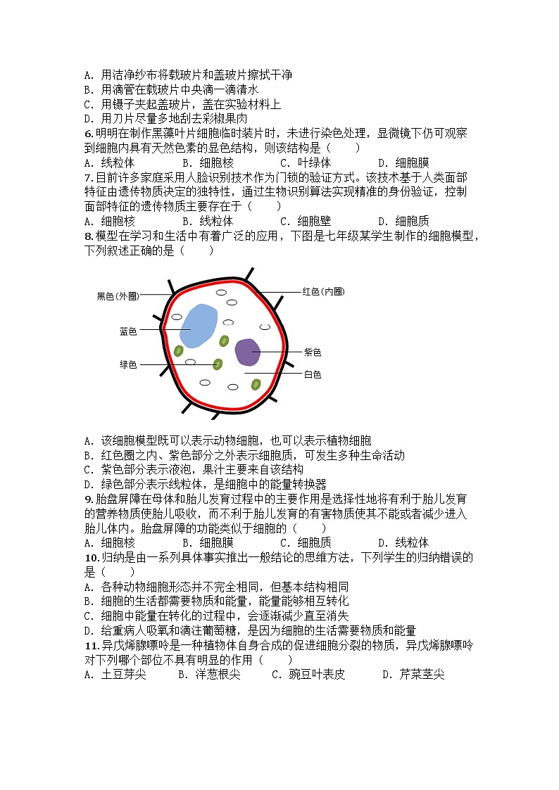 河南省鹤壁市联考2025-2026学年七年级上学期期中生物试题第2页