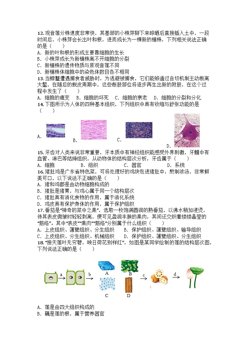 河南省鹤壁市联考2025-2026学年七年级上学期期中生物试题第3页
