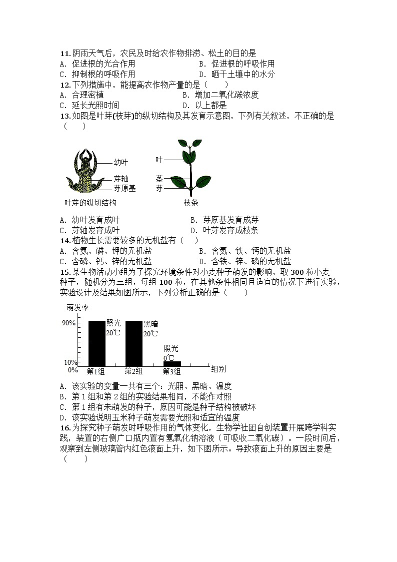 河南省焦作市中站区2024-2025学年七年级下学期期中生物试题第2页