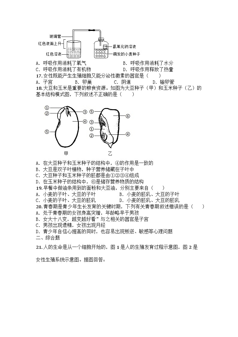河南省焦作市中站区2024-2025学年七年级下学期期中生物试题第3页