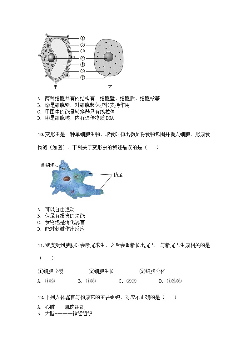 河南省开封市兰考县2024-2025学年七年级上学期期末生物试题第3页