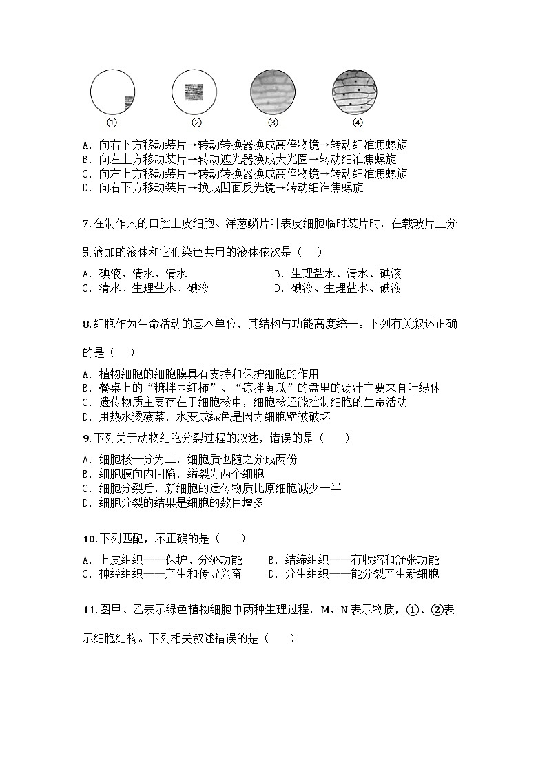 河南省开封市祥符区2024-2025学年七年级上学期期末生物试题第2页