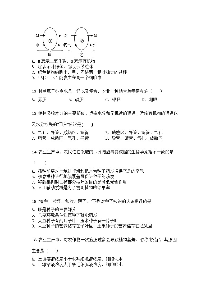 河南省开封市祥符区2024-2025学年七年级上学期期末生物试题第3页