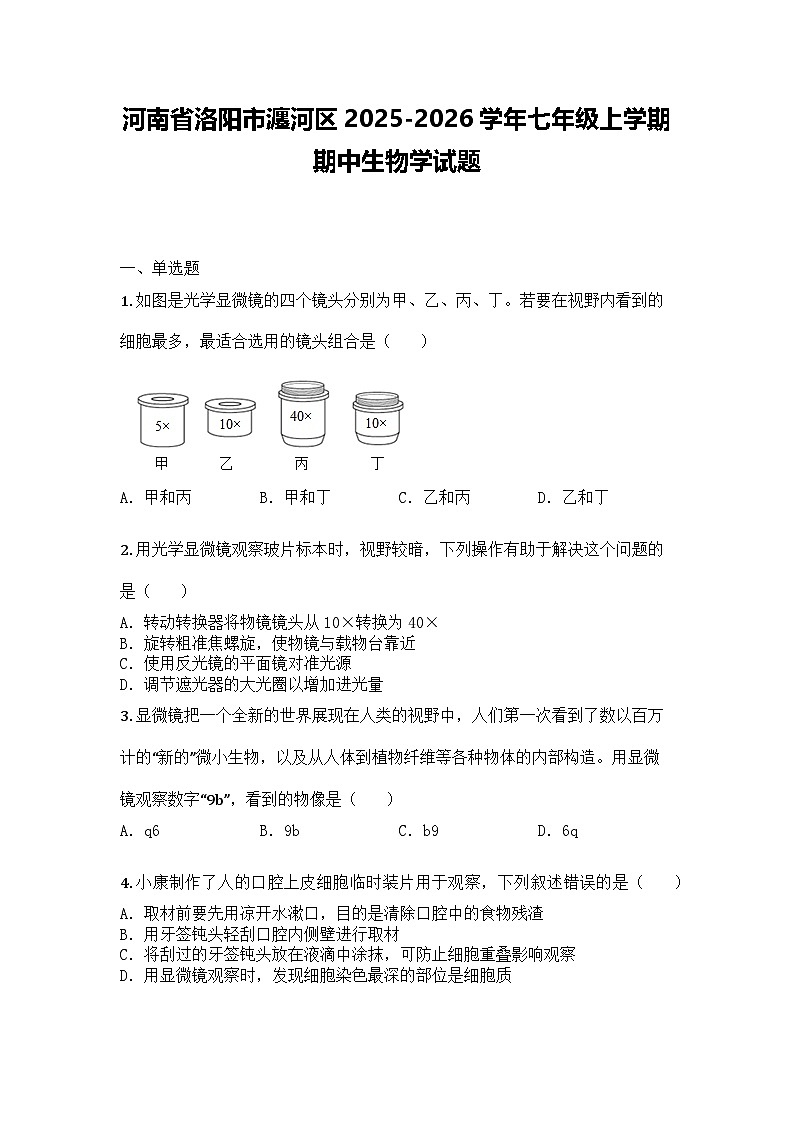 河南省洛阳市瀍河区2025-2026学年七年级上学期期中生物学试题第1页