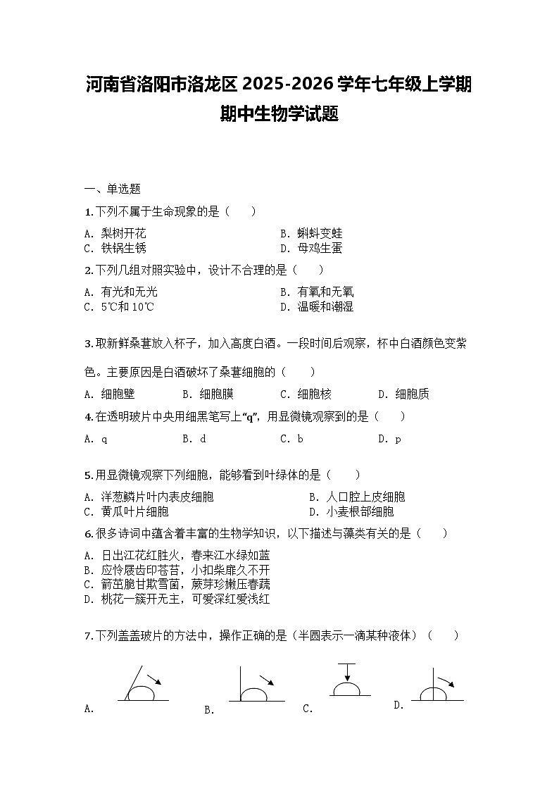 河南省洛阳市洛龙区2025-2026学年七年级上学期期中生物学试题第1页