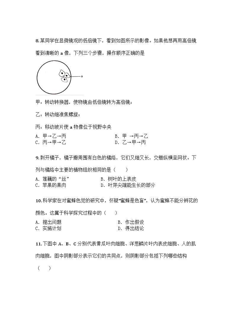 河南省洛阳市洛龙区2025-2026学年七年级上学期期中生物学试题第2页