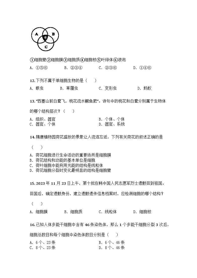 河南省洛阳市洛龙区2025-2026学年七年级上学期期中生物学试题第3页