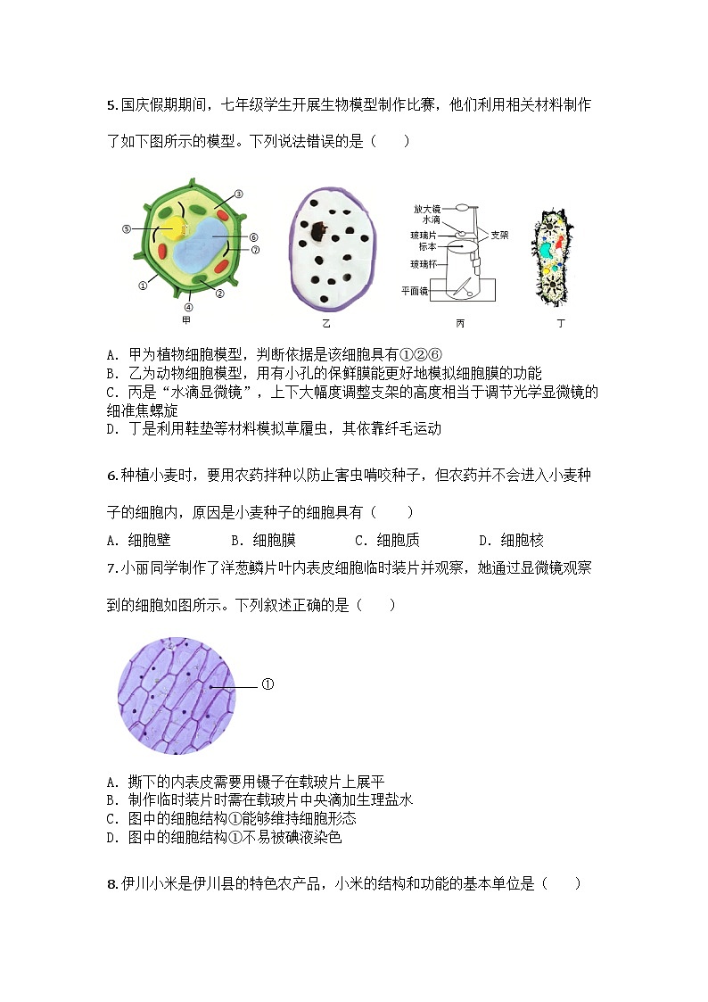河南省洛阳市伊川县2025-2026学年七年级上学期期中生物学试题第2页