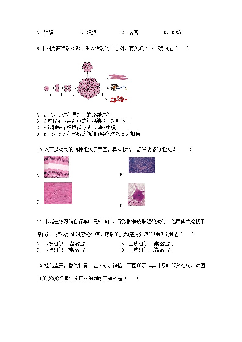 河南省洛阳市伊川县2025-2026学年七年级上学期期中生物学试题第3页