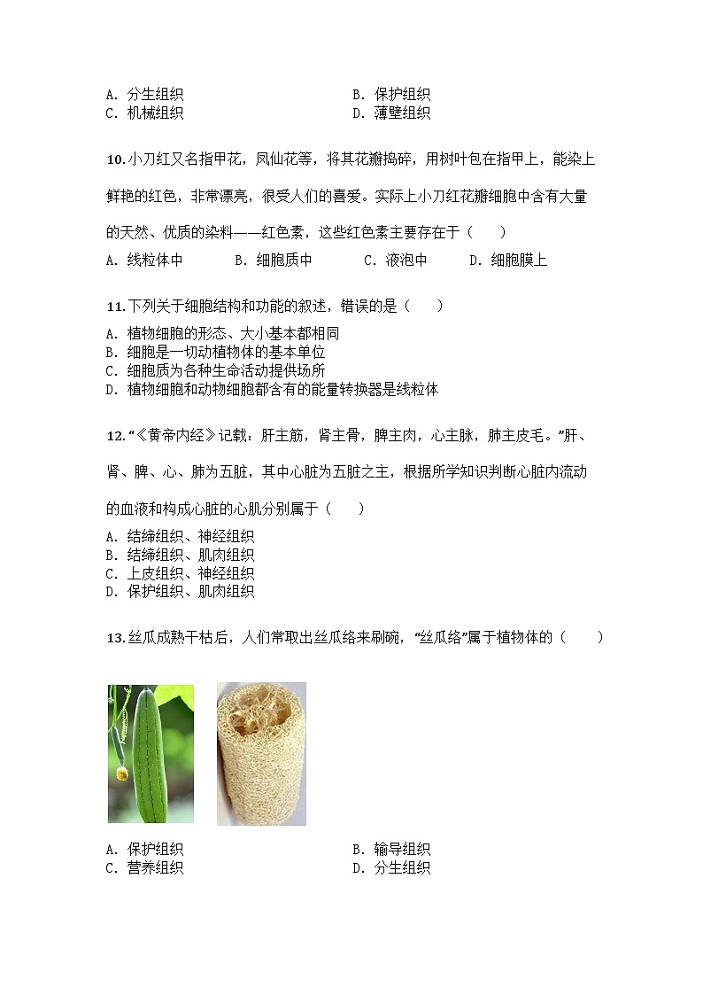 河南省漯河市舞阳县2025-2026学年七年级上学期期中生物试题第3页