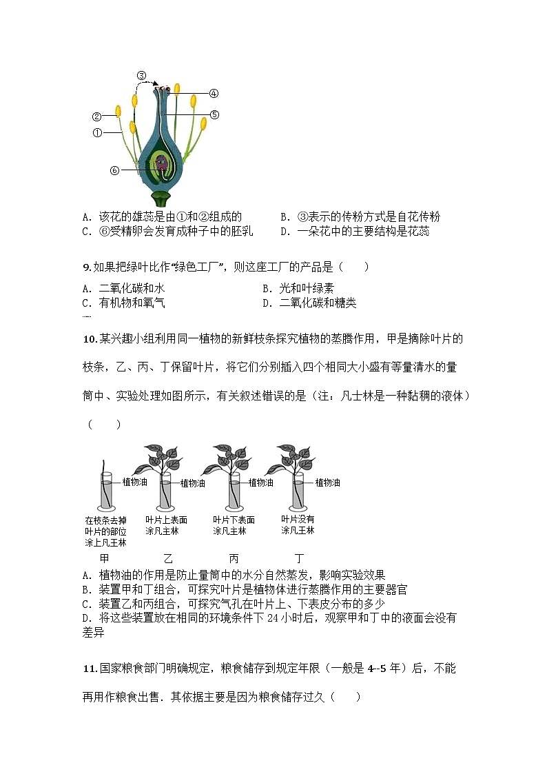 河南省漯河市郾城区2024-2025学年七年级下学期期中生物试题第3页