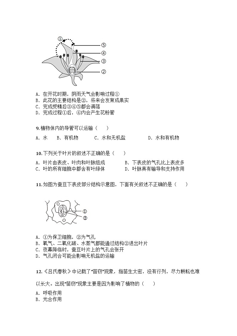 河南省漯河市召陵区2024-2025学年七年级下学期期中生物试题第3页