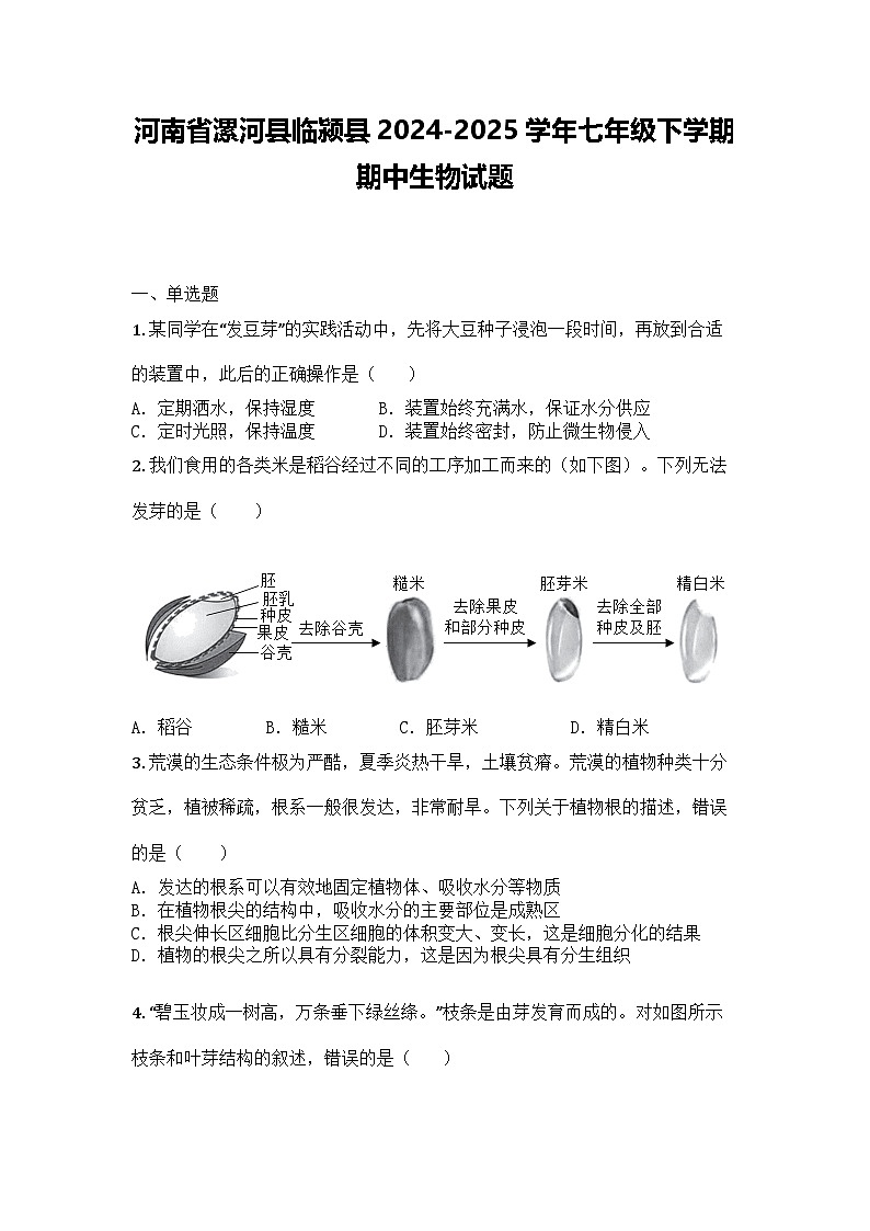 河南省漯河县临颍县2024-2025学年七年级下学期期中生物试题第1页