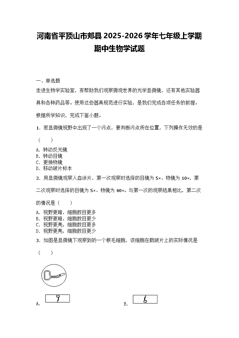 河南省平顶山市郏县2025-2026学年七年级上学期期中生物学试题第1页
