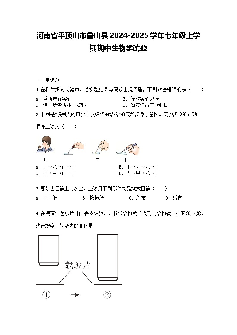 河南省平顶山市鲁山县2024-2025学年七年级上学期期中生物学试题第1页