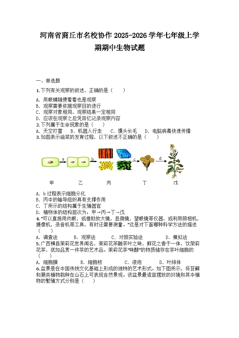 河南省商丘市名校协作2025-2026学年七年级上学期期中生物试题第1页