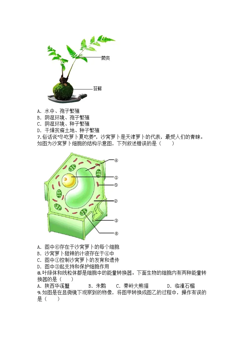 河南省商丘市名校协作2025-2026学年七年级上学期期中生物试题第2页