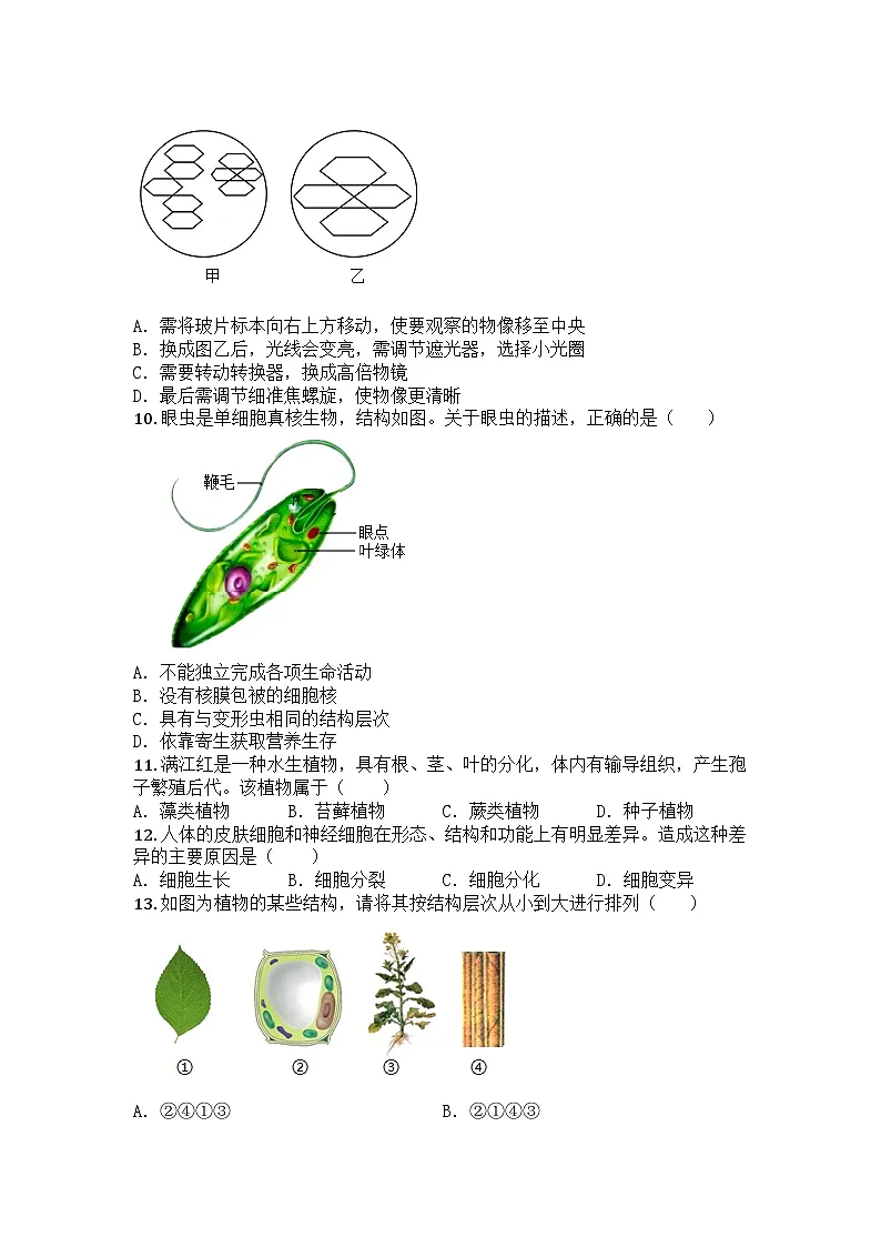 河南省商丘市名校协作2025-2026学年七年级上学期期中生物试题第3页