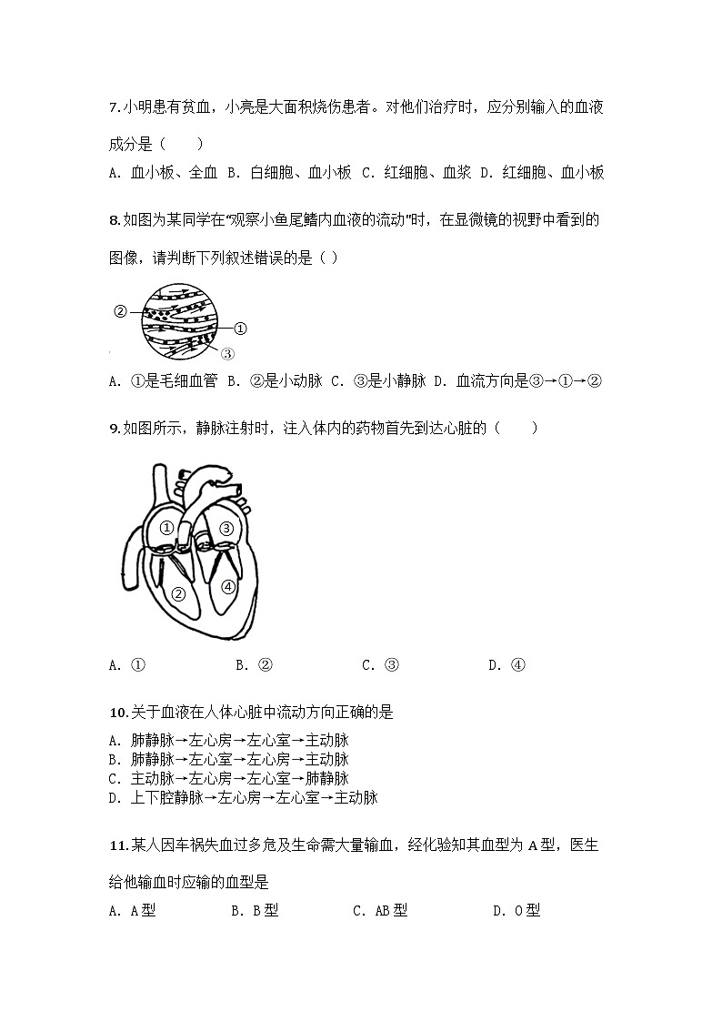 河南省新乡市延津县2024-2025学年七年级下学期期中生物试题第2页