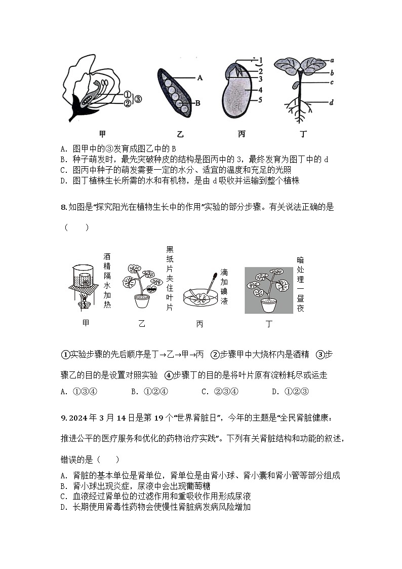 河南省商丘市睢县多乡镇联合考试2024-2025学年七年级下学期6月月考生物试题第3页