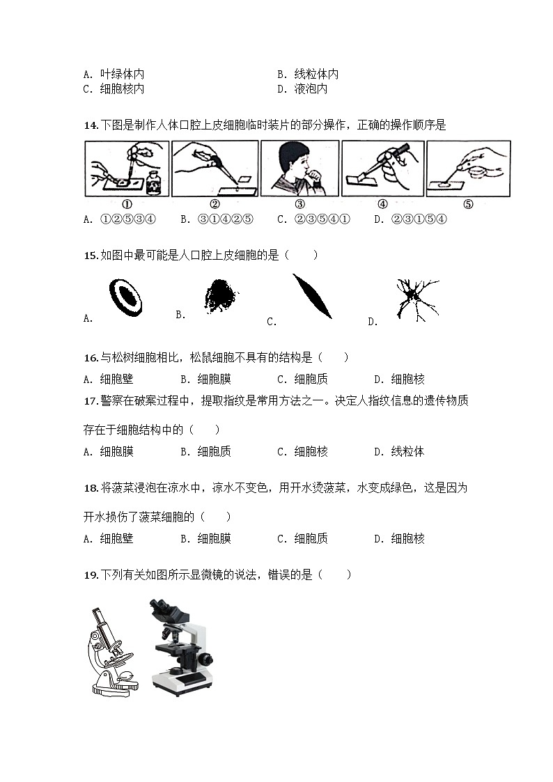 河南省濮阳市范县濮城镇中学2025-2026学年七年级上学期10月月考生物学试题第3页