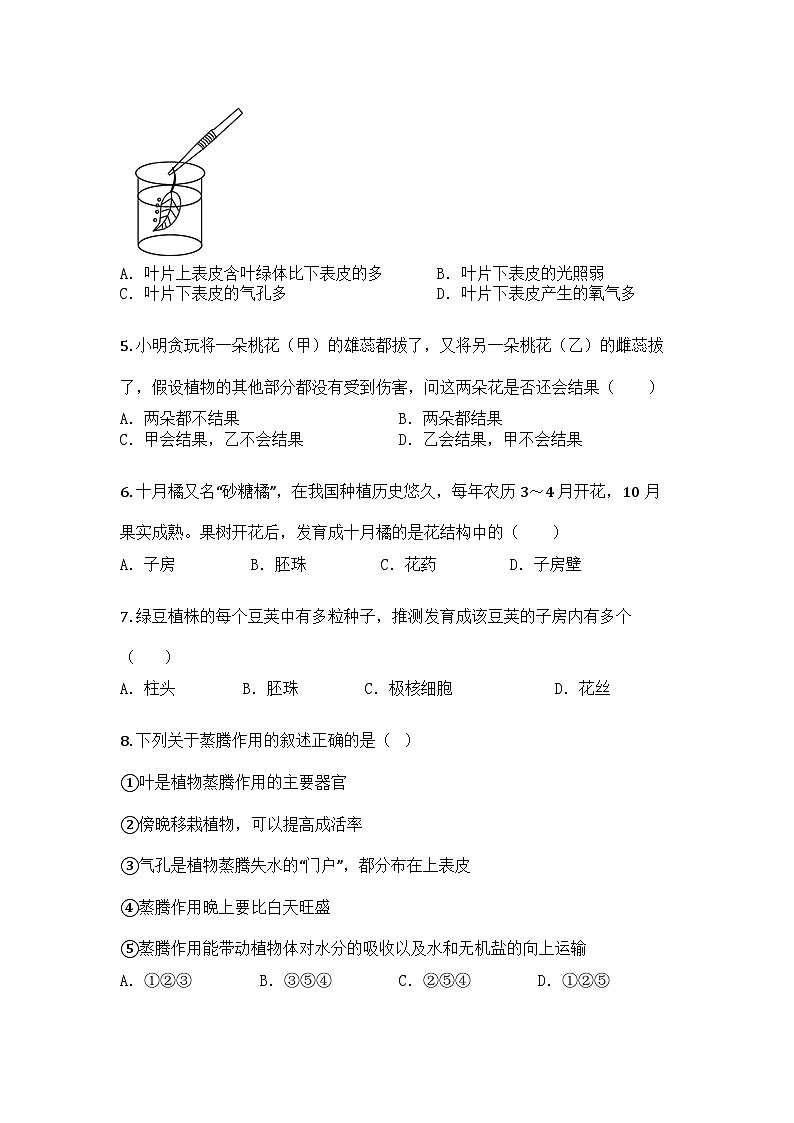 河南省商丘市民权县2024-2025学年七年级下学期3月月考生物试题第2页