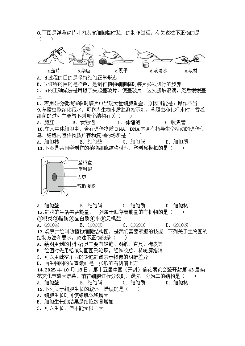 河南省新乡市长垣市2025-2026学年七年级上学期期中生物学试题第2页