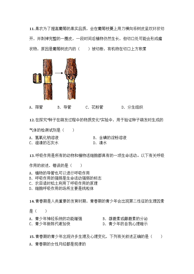 河南省商丘市永城市2024-2025学年七年级下学期期中生物试题第3页