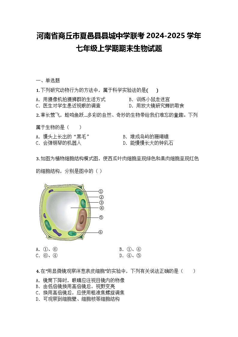 河南省商丘市夏邑县县城中学联考2024-2025学年七年级上学期期末生物试题第1页
