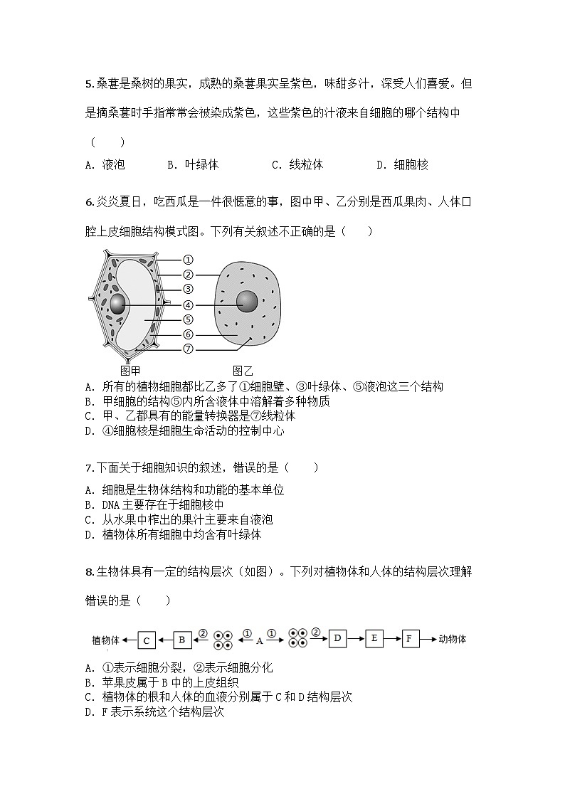 河南省商丘市夏邑县县城中学联考2024-2025学年七年级上学期期末生物试题第2页