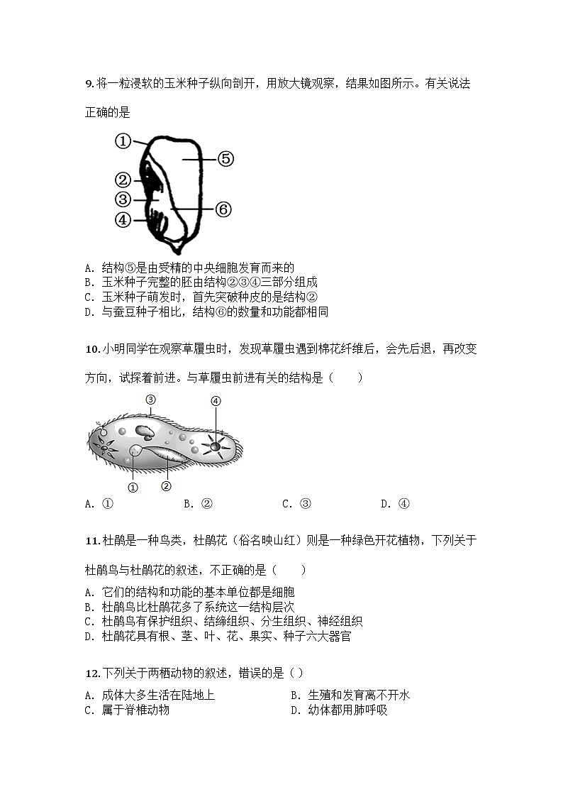 河南省商丘市夏邑县县城中学联考2024-2025学年七年级上学期期末生物试题第3页