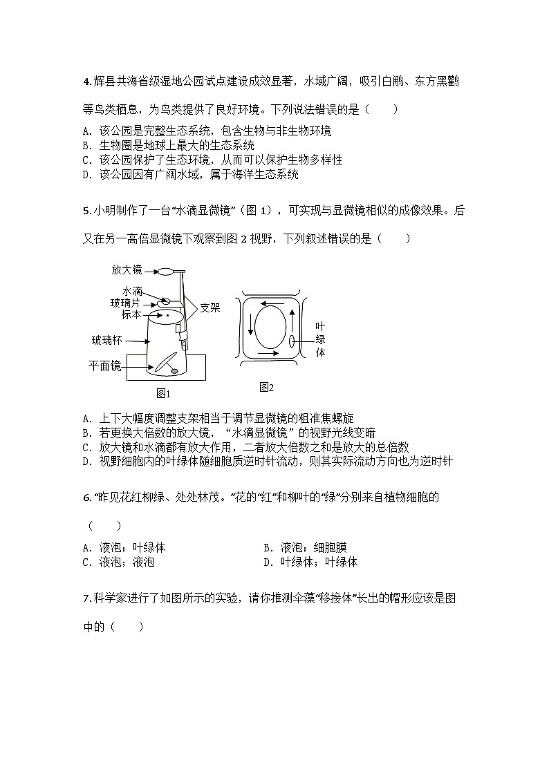河南省新乡市辉县市2025-2026学年七年级上学期期中生物学试题第2页
