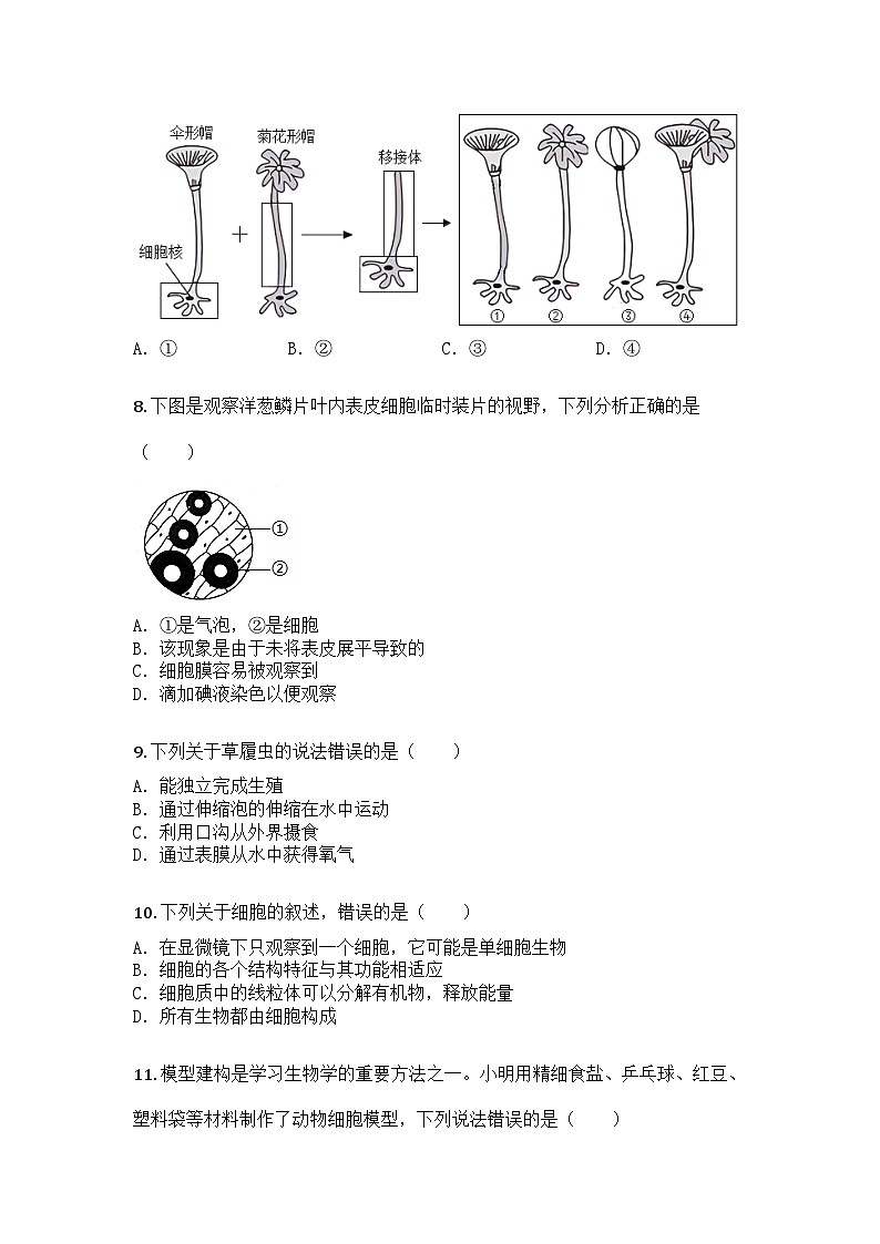 河南省新乡市辉县市2025-2026学年七年级上学期期中生物学试题第3页