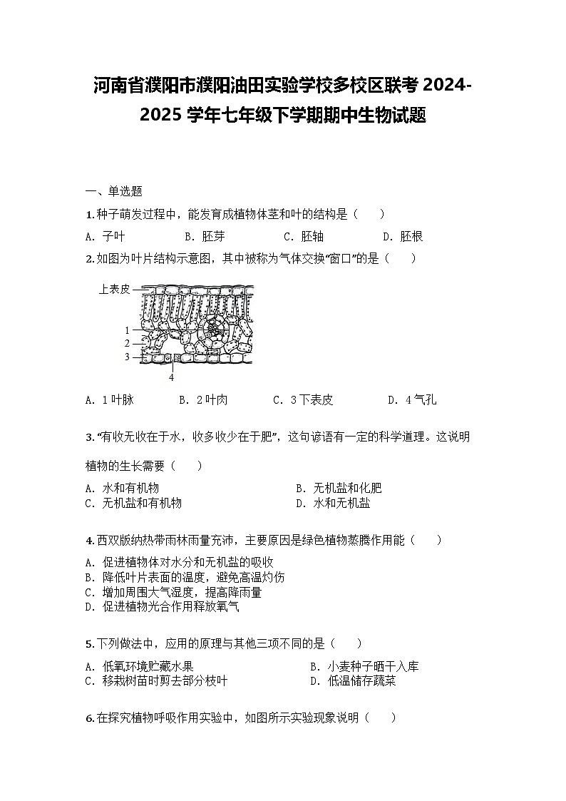河南省濮阳市濮阳油田实验学校多校区联考2024-2025学年七年级下学期期中生物试题第1页