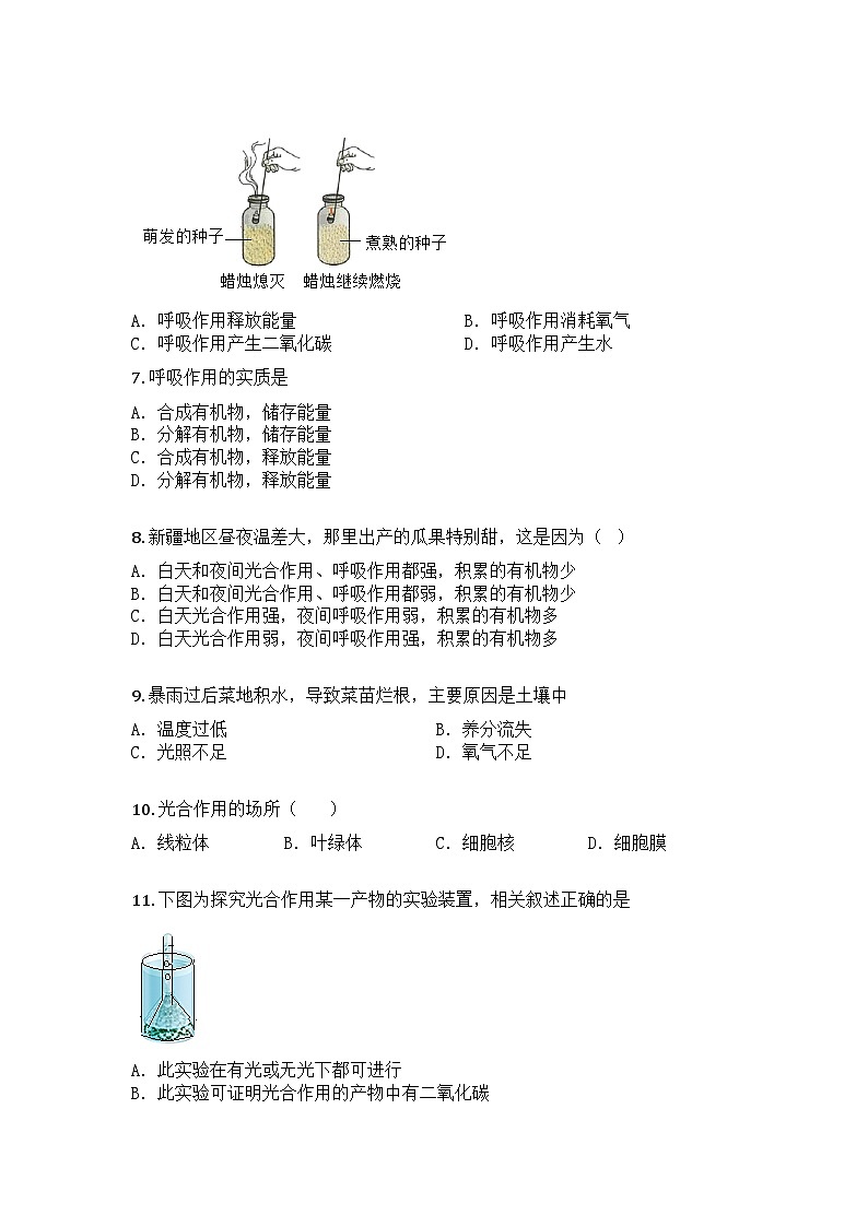 河南省濮阳市濮阳油田实验学校多校区联考2024-2025学年七年级下学期期中生物试题第2页