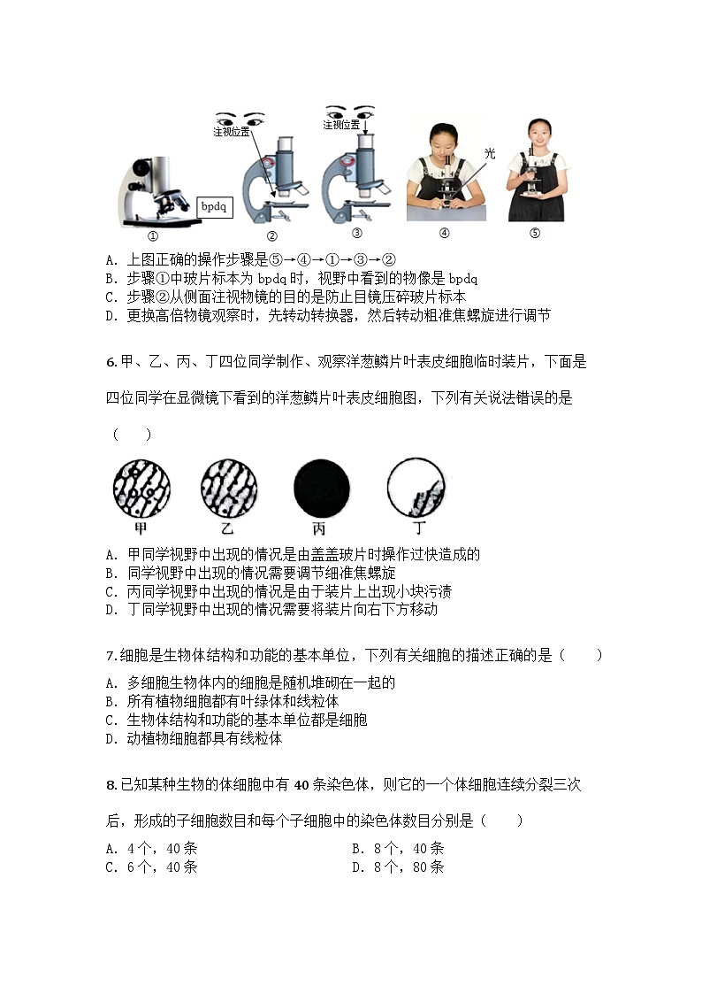 河南省三门峡市灵宝市2025-2026学年七年级上学期期中生物学试题第2页