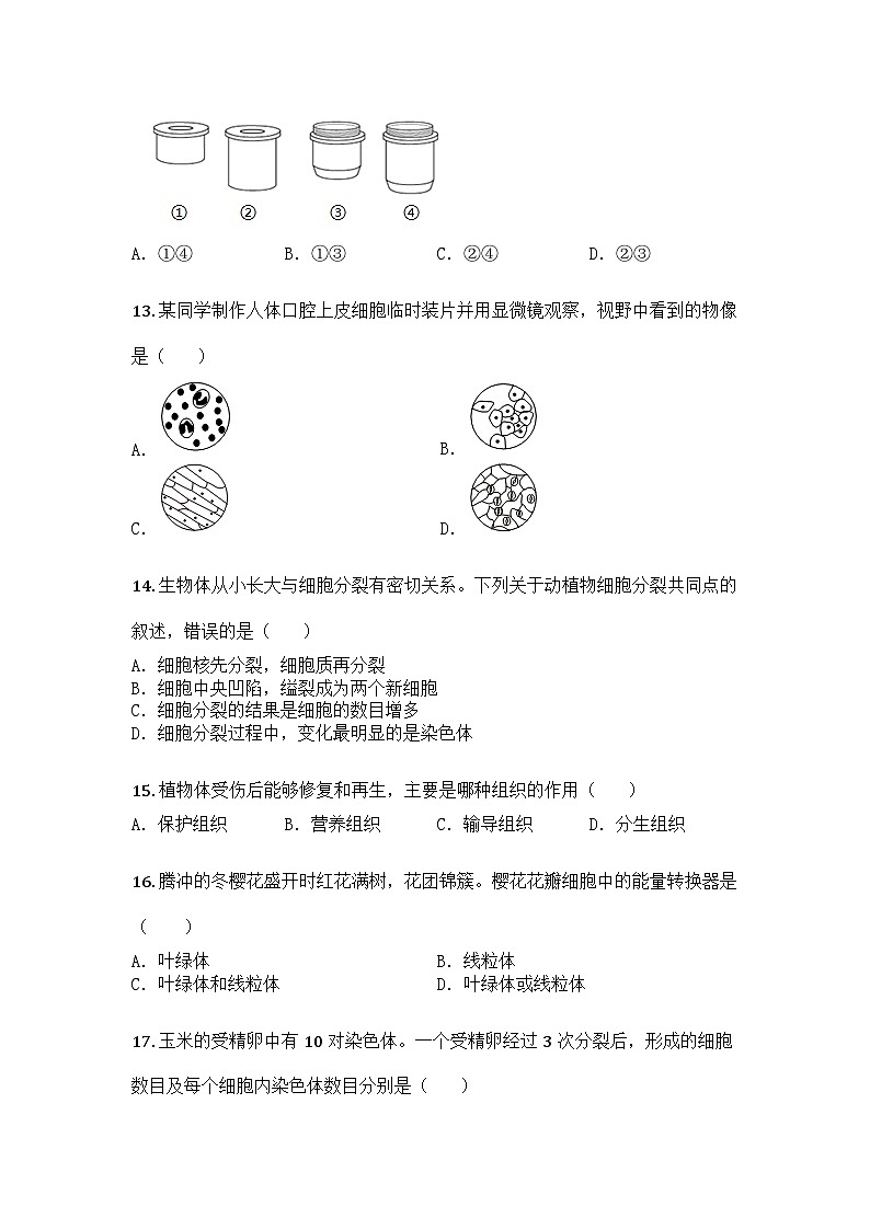 河南省三门峡市渑池县2025-2026学年七年级上学期期中生物学试题第3页