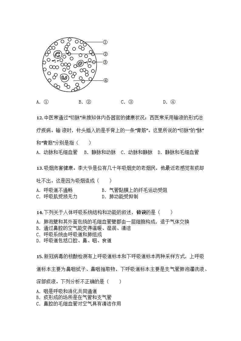 河南省石家庄市第二十七中学2024-2025学年七年级下学期期中生物试题第3页