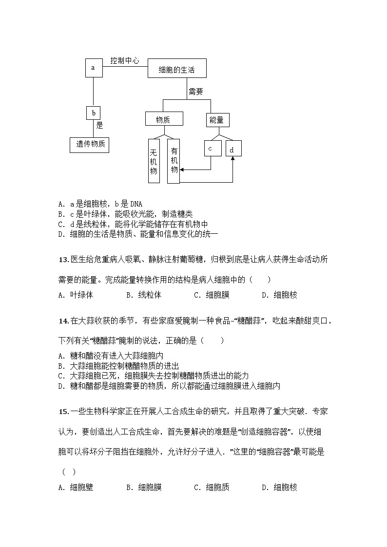 河南省商丘市睢县多乡镇2025-2026学年七年级上学期10月月考生物试题第3页