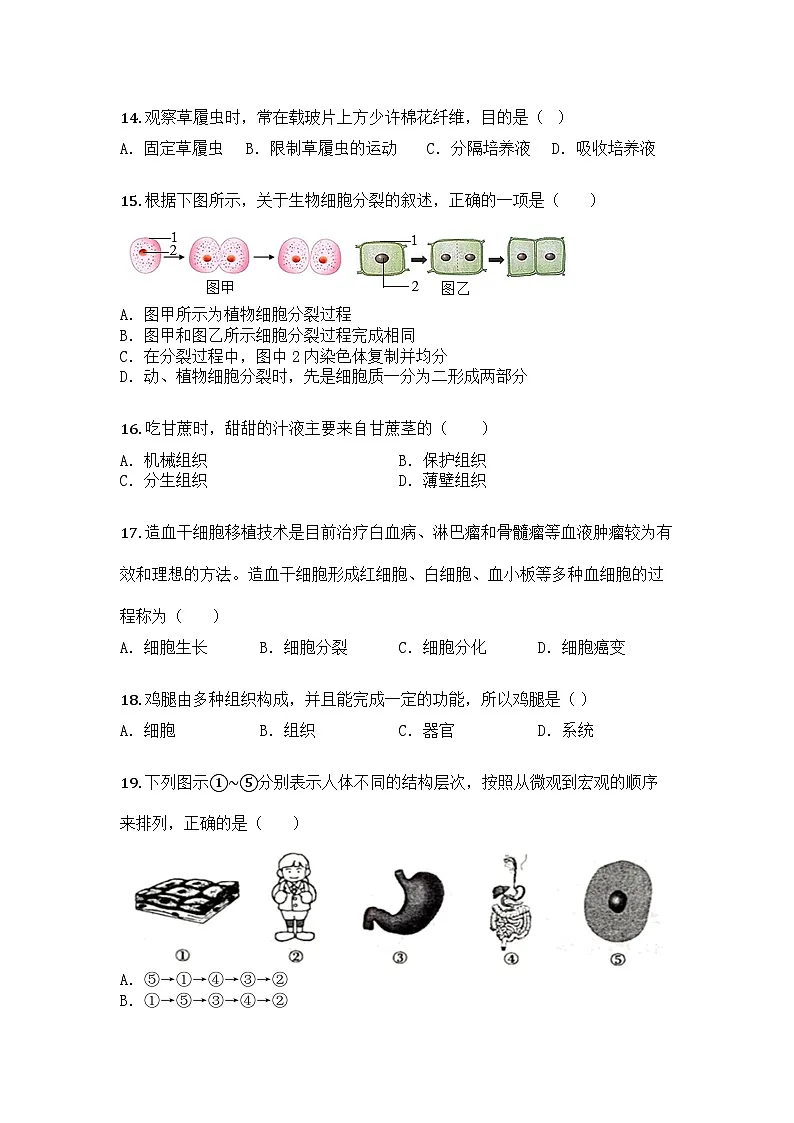 河南省新乡市延津县2025-2026学年七年级上学期期中生物学试题第3页