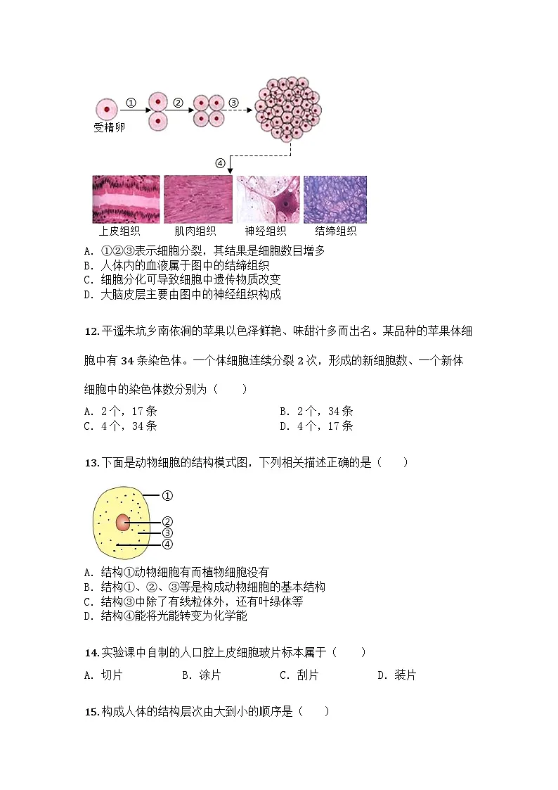 河南省濮阳市华龙区华龙区第三中学2025年七年级上学期9月月考生物学试题第3页