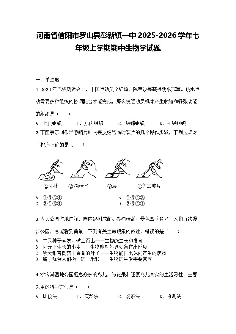 河南省信阳市罗山县彭新镇一中2025-2026学年七年级上学期期中生物学试题第1页